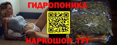 jwh Будённовск