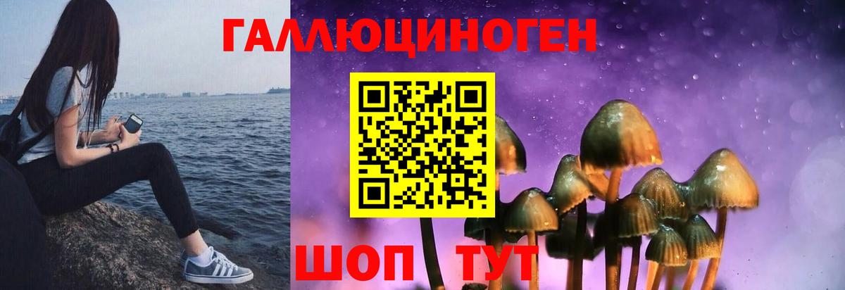 Галлюциногенные грибы мухоморы  Псилоцибиновые грибы Magic Shrooms  Вход с VPN  Пугачёв 